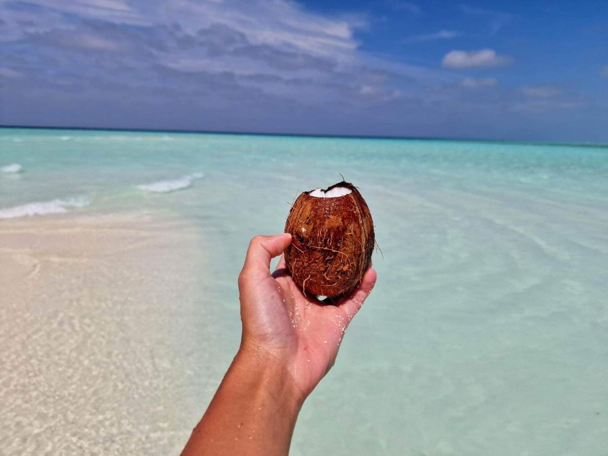Finolhu Beach Guest House Felidhoo Buitenkant foto